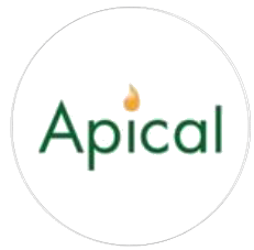 Apical